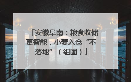 安徽阜南：粮食收储更智能，小麦入仓“不落地”（组图）