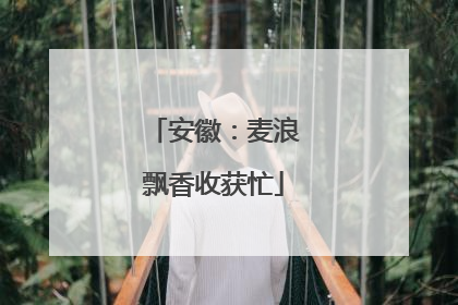 安徽：麦浪飘香收获忙