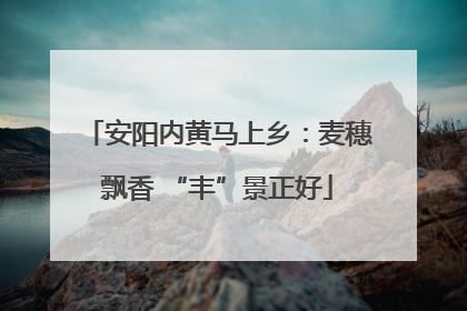 安阳内黄马上乡：麦穗飘香 “丰”景正好