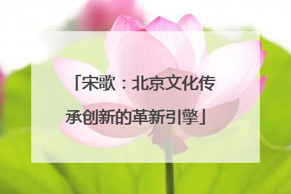 宋歌：北京文化传承创新的革新引擎