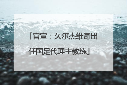 官宣：久尔杰维奇出任国足代理主教练