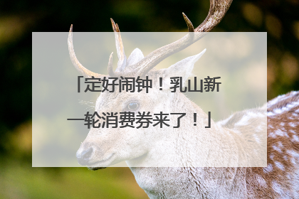 定好闹钟！乳山新一轮消费券来了！