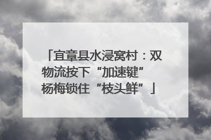 宜章县水浸窝村：双物流按下“加速键” 杨梅锁住“枝头鲜”