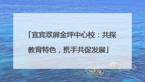 宜宾翠屏金坪中心校：共探教育特色，携手共促发展
