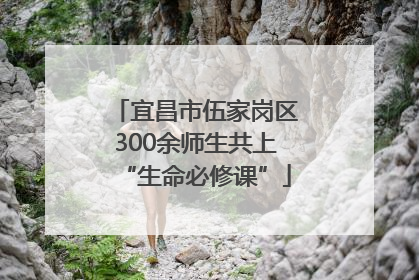 宜昌市伍家岗区300余师生共上“生命必修课”