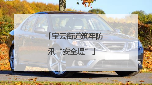 宝云街道筑牢防汛“安全堤”