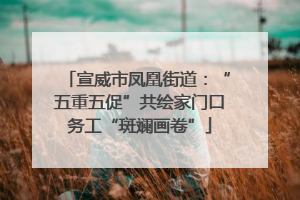 宣威市凤凰街道：“五重五促”共绘家门口务工“斑斓画卷”