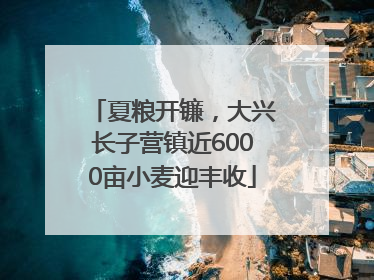 夏粮开镰，大兴长子营镇近6000亩小麦迎丰收