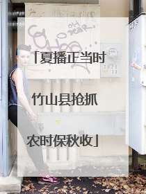 夏播正当时 竹山县抢抓农时保秋收