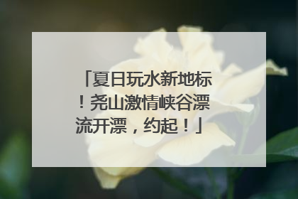 夏日玩水新地标！尧山激情峡谷漂流开漂，约起！