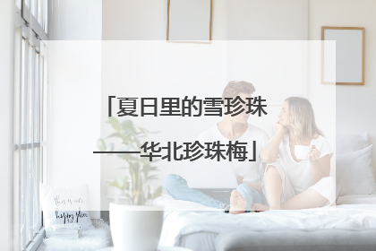 夏日里的雪珍珠——华北珍珠梅
