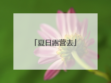 夏日露营去