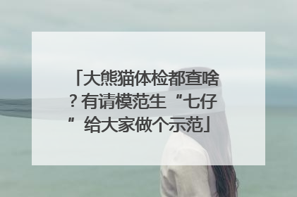 大熊猫体检都查啥？有请模范生“七仔”给大家做个示范