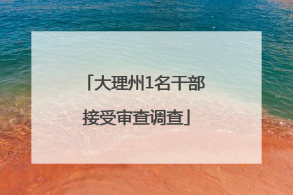 大理州1名干部接受审查调查