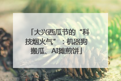 大兴西瓜节的“科技烟火气”：机器狗搬瓜、AI摊煎饼