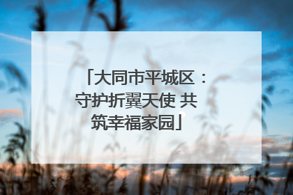 大同市平城区：守护折翼天使 共筑幸福家园