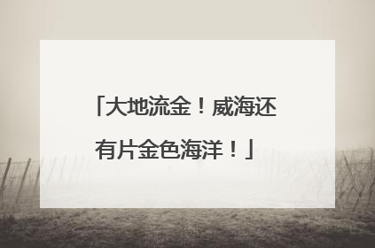 大地流金！威海还有片金色海洋！