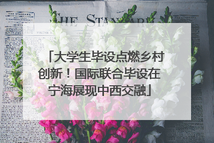 大学生毕设点燃乡村创新！国际联合毕设在宁海展现中西交融