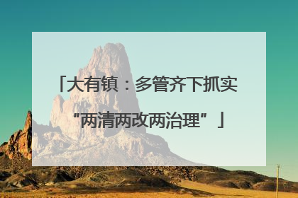 大有镇：多管齐下抓实“两清两改两治理”