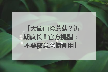 大蜀山捡蘑菇？近期疯长！官方提醒：不要随意采摘食用
