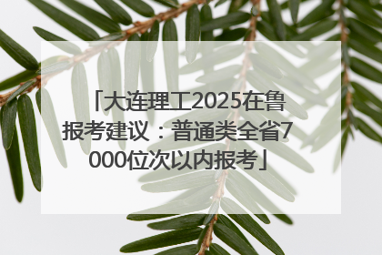 大连理工2025在鲁报考建议：普通类全省7000位次以内报考