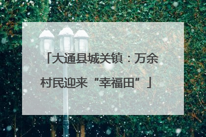 大通县城关镇：万余村民迎来“幸福田”