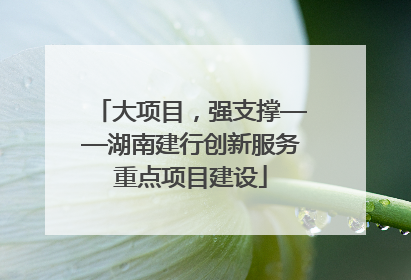 大项目，强支撑——湖南建行创新服务重点项目建设