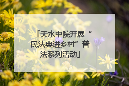 天水中院开展“民法典进乡村”普法系列活动
