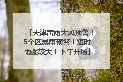 天津雷雨大风预警！5个区暴雨预警！短时雨强较大！下午开场