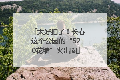 太好拍了！长春这个公园的“520花墙”火出圈