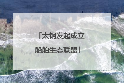 太钢发起成立船舶生态联盟