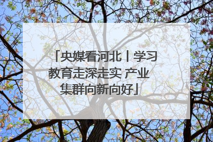 央媒看河北丨学习教育走深走实 产业集群向新向好