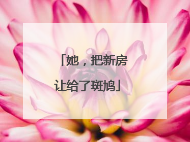 她，把新房让给了斑鸠