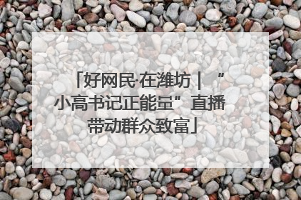 好网民·在潍坊｜“小高书记正能量”直播 带动群众致富