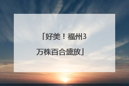 好美！福州3万株百合盛放