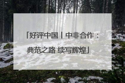 好评中国丨中非合作：典范之路 续写辉煌