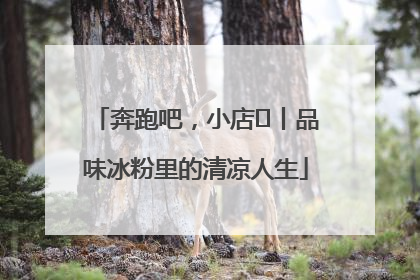 奔跑吧，小店㊴丨品味冰粉里的清凉人生