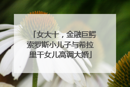 女大十，金融巨鳄索罗斯小儿子与希拉里干女儿高调大婚