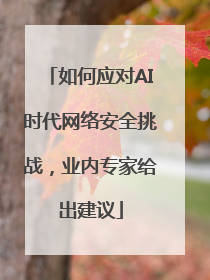 如何应对AI时代网络安全挑战，业内专家给出建议