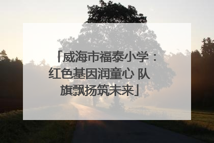 威海市福泰小学：红色基因润童心 队旗飘扬筑未来