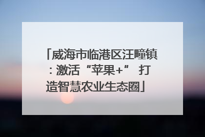 威海市临港区汪疃镇：激活“苹果+” 打造智慧农业生态圈