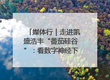 媒体行｜走进凯盛浩丰“番茄硅谷”：看数字神经下的精准农业