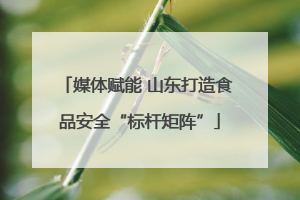 媒体赋能 山东打造食品安全“标杆矩阵”