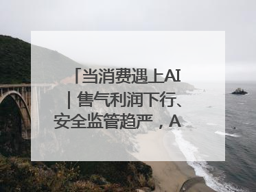 当消费遇上AI｜售气利润下行、安全监管趋严，AI浪潮下城燃企业如何破局