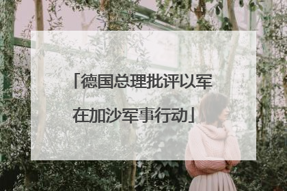 德国总理批评以军在加沙军事行动