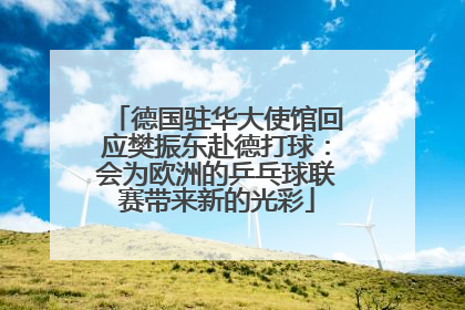 德国驻华大使馆回应樊振东赴德打球：会为欧洲的乒乓球联赛带来新的光彩