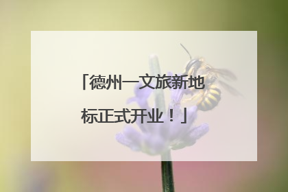 德州一文旅新地标正式开业！