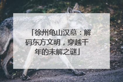 徐州龟山汉墓：解码东方文明，穿越千年的未解之谜