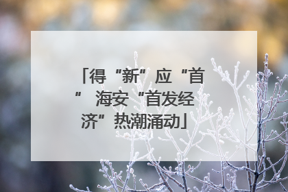 得“新”应“首” 海安“首发经济”热潮涌动