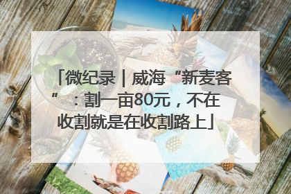 微纪录｜威海“新麦客”：割一亩80元，不在收割就是在收割路上